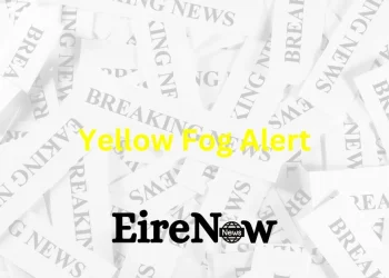 yellow fog alert