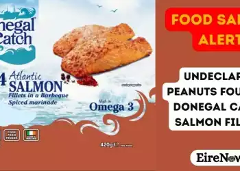 food safety alert undeclared peanuts found in donegal catch salmon fillets