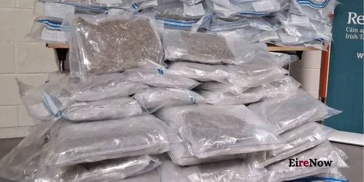 drugs