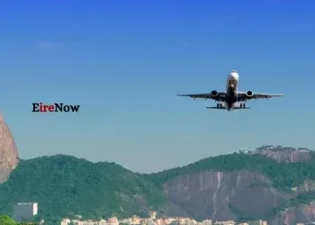 brazilian deport
