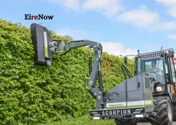 hedge cutting