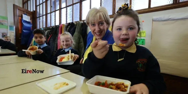 ireland lunch box
