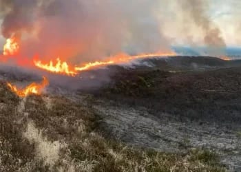 Recent gorse fires in Ireland have highlighted the speed at which blazes can spread in dry conditions. Source: Agriland