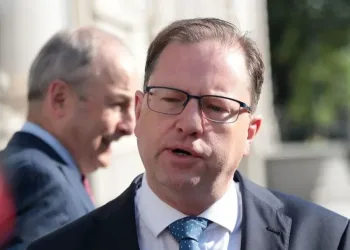 Minister for Further and Higher Education James Lawless admitted the strike “probably will go ahead at this stage"